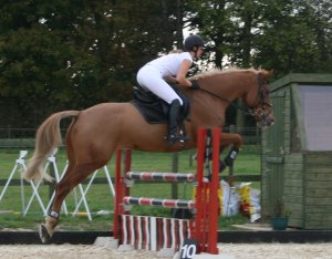 Barrow Hall Stables